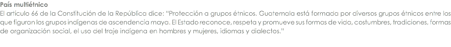 PaÃ­s multiÃ©tnico El artÃ­culo 66 de la ConstituciÃ³n de la RepÃºblica dice: â€œProtecciÃ³n a grupos Ã©tnicos. Guatemala estÃ¡ formada por diversos grupos Ã©tnicos entre los que figuran los grupos indÃ­genas de ascendencia maya. El Estado reconoce, respeta y promueve sus formas de vida, costumbres, tradiciones, formas de organizaciÃ³n social, el uso del traje indÃ­gena en hombres y mujeres, idiomas y dialectos.â€