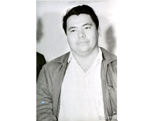 Una guerrilla unificada